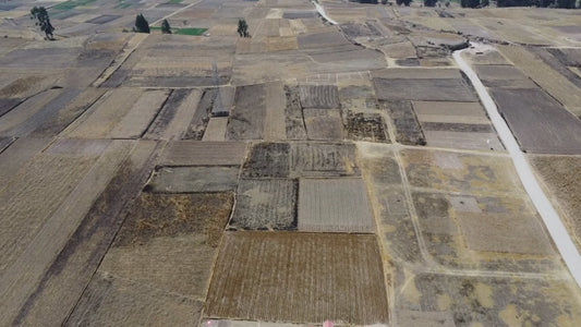 VENTA DE LOTES-URB EL MIRADOR DE HUAMANCACA CHICO-HUANCAYO